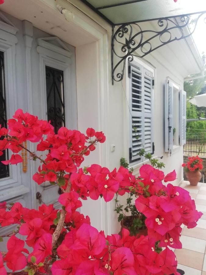 La Casa Di Caterina: Nature,Relax And Private Garden Lefkáda Exteriér fotografie