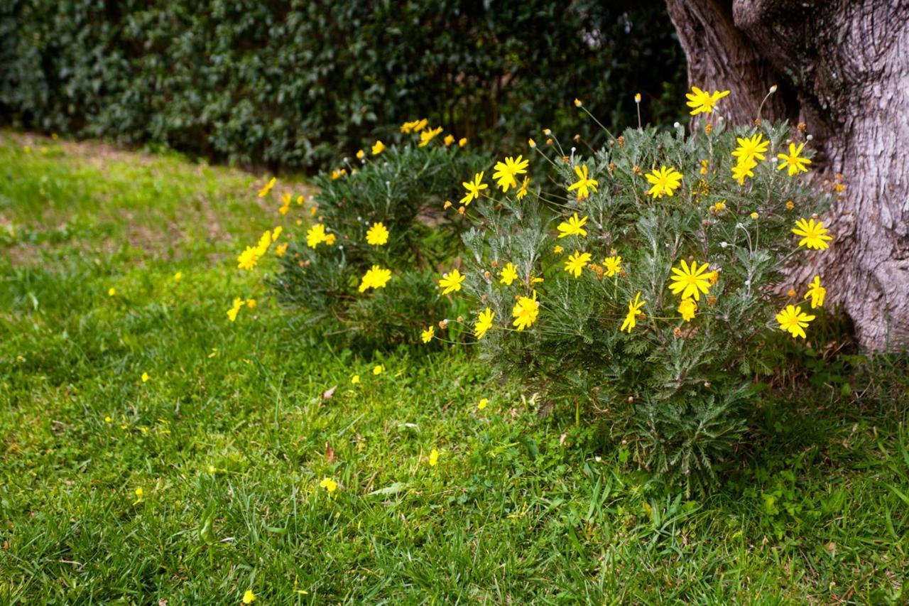 La Casa Di Caterina: Nature,Relax And Private Garden Lefkáda Exteriér fotografie